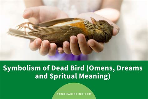 Exploring the Symbolic Significance of Avian Dreams
