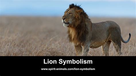 Exploring the Symbolism Associated with Resonating Encounters with Lions