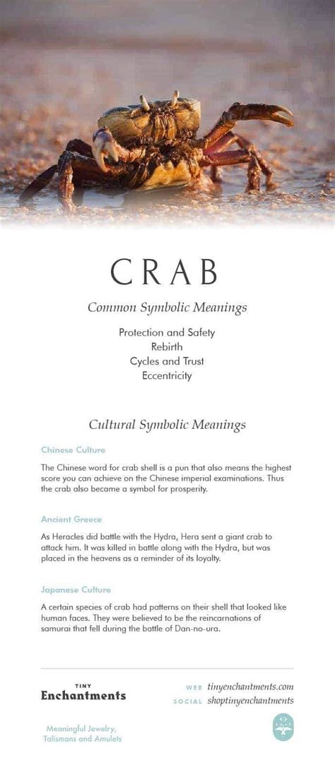 Exploring the Symbolism of Crabs in Dream Interpretation