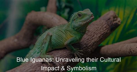 Exploring the Symbolism of Iguanas in Various Cultural Perspectives