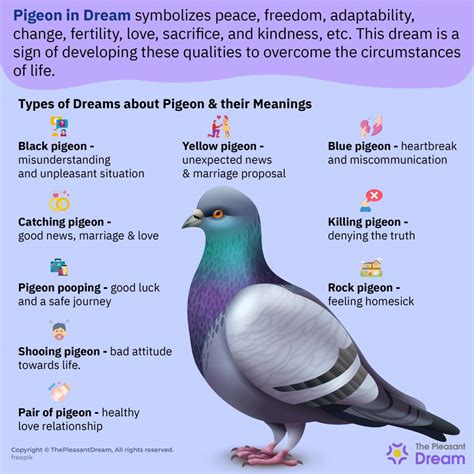 Exploring the Various Explanations of Pigeon Dreams