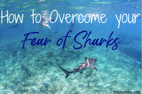 Facing the Predator: Overcoming the Dread of Sharks in Dreamscapes and Reality