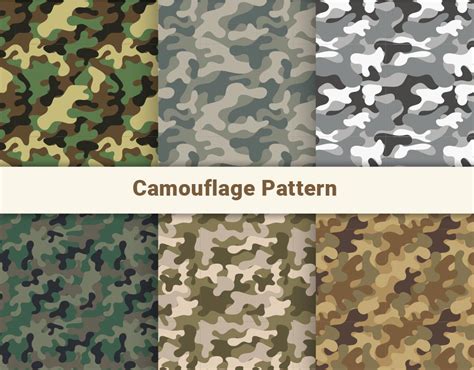 Fascinating Analysis of Camouflage Pursuit Reveries