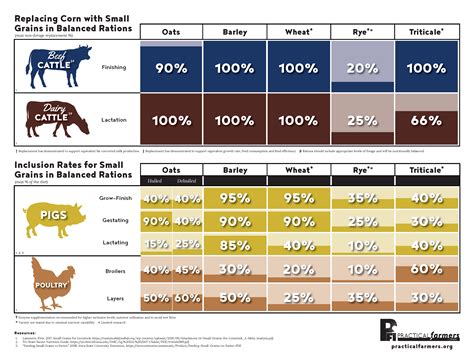 Feeding Your Porcine Pal: A Comprehensive Guide to Their Nutritional Needs and Dietary Preferences