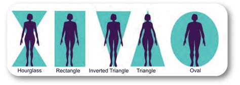 Figure: Body Type Analysis and Fitness Regime