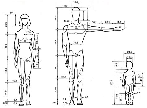 Figure: Exploring the Enchanting Body Proportions of Coco Hazuki