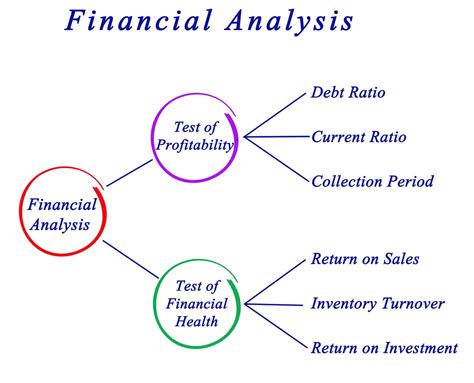 Financial Analysis: Evaluating Raghavi's Prosperity and Income