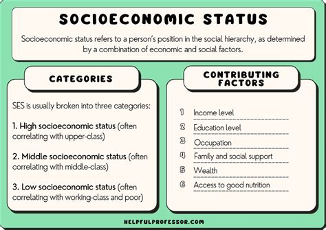 Financial Status and Contribution to Society