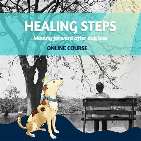 Finding Closure: Steps to Healing and Moving Forward after Experiencing a Dream about the Passing of a Beloved Animal Companion