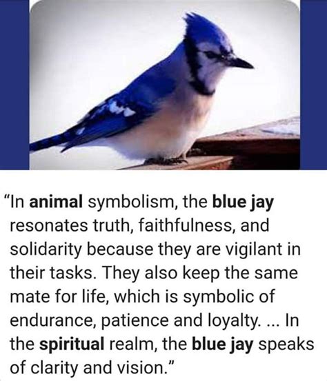 Flying High: Decoding the Spiritual Significance of Blue Jays in Dreams