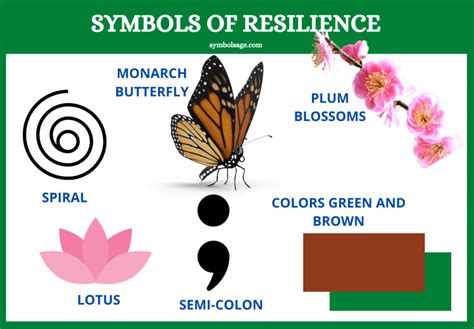 From Fragility to Resilience: Understanding the Transformation in Dream Symbolism