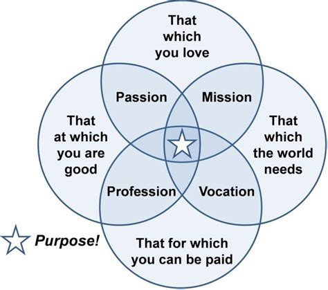 From Passion to Profession: Tracing the Journey