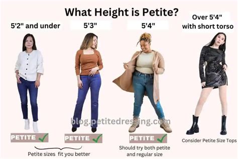 From Petite to Tall: All About Piercedaspid's Height