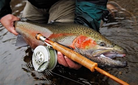 Gear Essentials: Selecting the Right Equipment for Trout Fishing