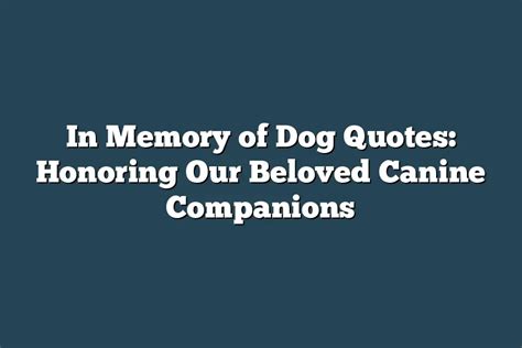 Grief and Healing: How Reflecting on the Memory and Presence of Your Beloved Canine Friend Can Aid in the Mourning Process