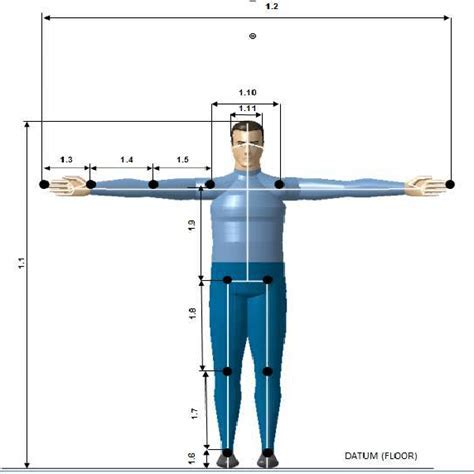 Height: Exploring the Physical Stature of Yoko Agi