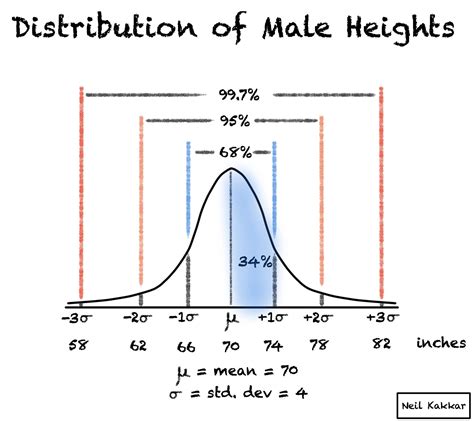 Height: The Statistic We've Been Curious About