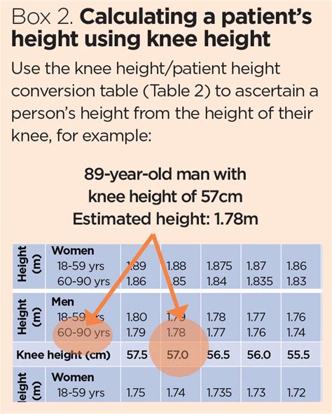 Height Matters: Determining Francessca Demarco's Vertical Measurement