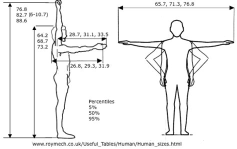 Height Matters: Unlocking the Power of Vertical Proportions