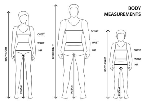 Height and Body Dimensions