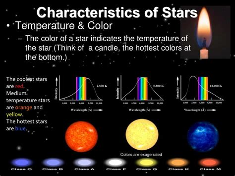 Height and Figure: The Physical Attributes of a Star