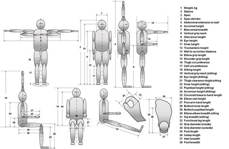 Height and Figure: Tor Eckhoff's Physical Attributes