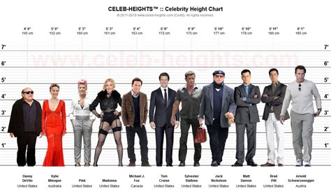 Height and Figure of the Captivating Celeb