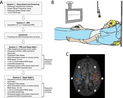 How Cultural Factors Influence the Understanding of Dreams Involving Infants' Deceased Bodies