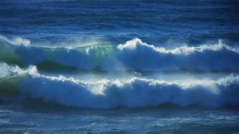 Immerse Yourself in the Majestic Beauty of Being Embraced by Rolling Waves