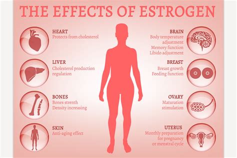 Impact of Hormonal Changes on Dreaming