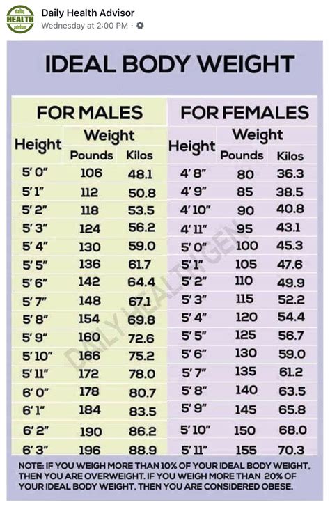 India Baby's Figure: The Perfect Body Measurements