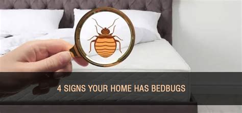 Indicators of Infestation: Determining if Bedbugs have Invaded Your Residence