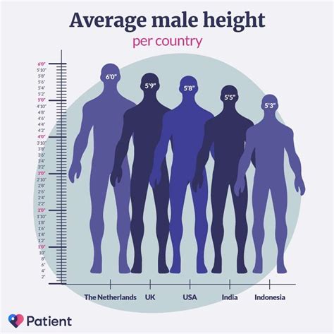 Influence of Height in the Modeling Industry
