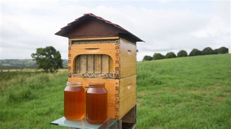 Innovation in Beekeeping: Modern Techniques for Honeycomb Production