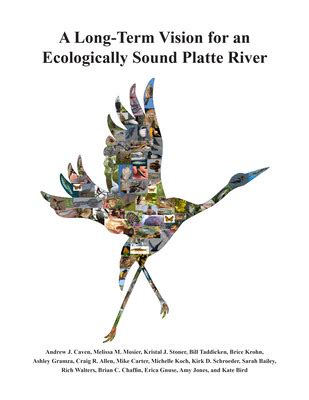 Innovative Technologies for River Cleanup: Towards an Ecologically Sound Solution