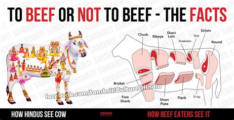 Insightful Strategies for Deciphering and Understanding Dreams Involving Beef Consumption