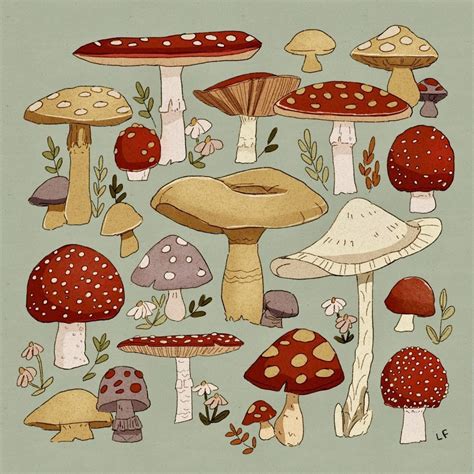 Inspiring Art and Design: Mushrooms as a Muse for Creativity