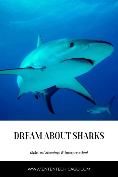 Interpreting Common Meanings of Dreams Related to Sharks