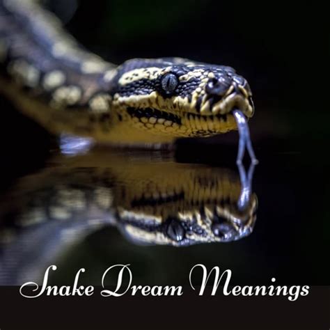 Interpreting Dreams of Snake Jumping: Insights and Analyses