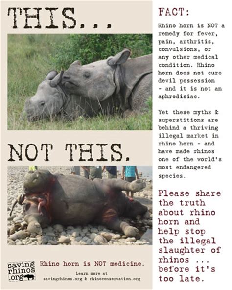 Interpreting Rhino Attacks as a Warning Sign