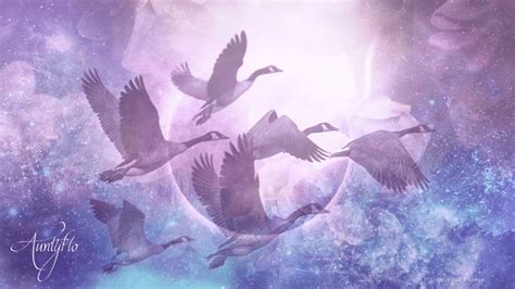 Interpreting the Message: The Significance of Avian Encounters in Dreamscapes