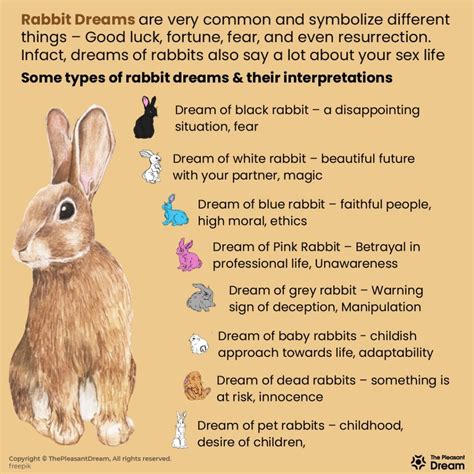 Interpreting the Significance of Rabbits in Dreams