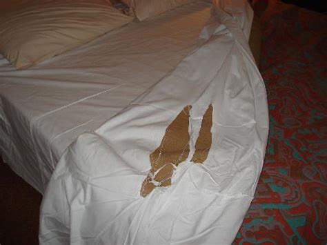 Interpreting the Significance of Ripped Bed Linens in Dreams
