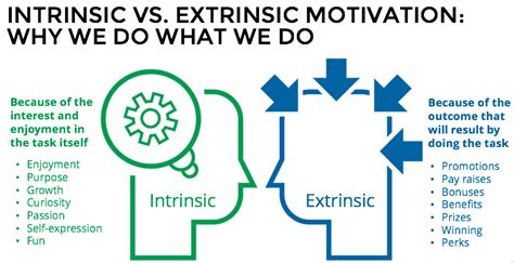 Intrinsic vs Extrinsic Motivations: Understanding the Difference