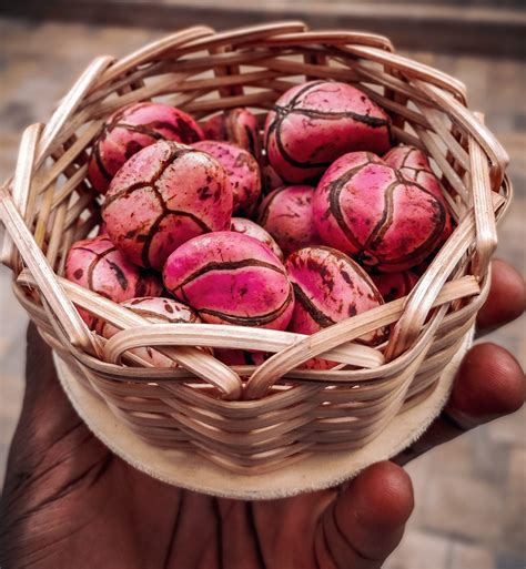 Kola Nut as a Symbol of Warmth and Togetherness