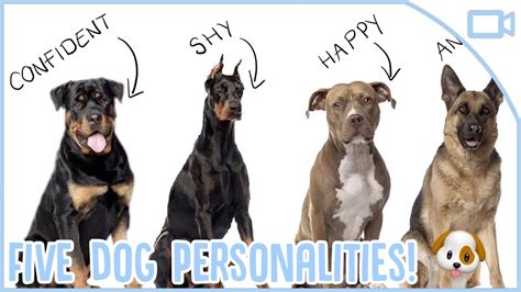Learn about the different species of untamed puppies and their distinctive traits.