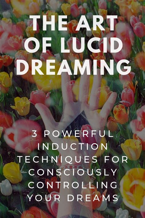 Lucid Dreaming and Control: Techniques for Managing Confrontations in Dreams