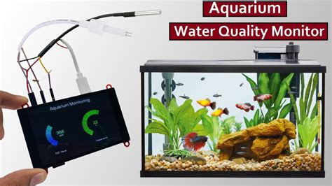 Maintaining Optimal Water Quality for Your Aquarium Fish