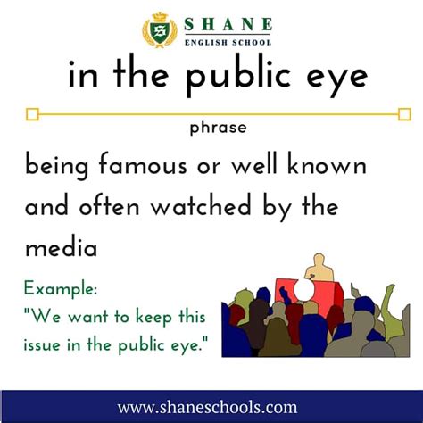 Maintaining Privacy in the Public Eye
