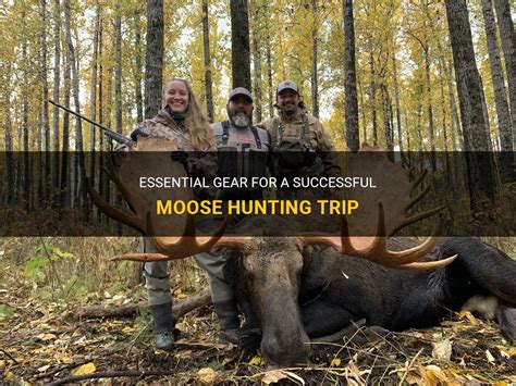 Mastering the Art of a Successful Moose Hunt: Effective Techniques and Essential Strategies